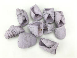  Lila csavart termés 10db/csomag