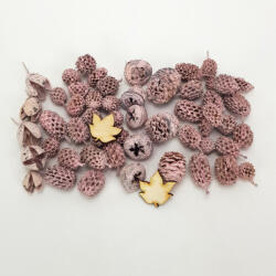  Természetjáró gyűjtemény rózsaszín