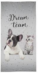 Detexpol Dream team pamut törölköző - szürke