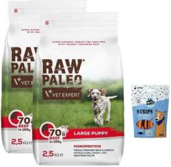RAW PALEO Vetexpert RAW PALEO BEEF PUPPY LARGE 2x2, 5kg + Mr. Bandit Strips - lazac csíkok 500g