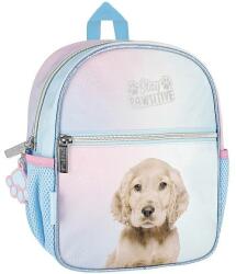 Starpak Kutyás ovis hátizsák DOGGY - Starpak (527197) - iskolataskawebshop