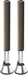 Bang & Olufsen Beolab 28 Floor Boxa activa