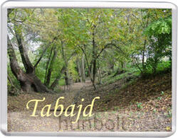 Tabajd-Mezítlábas Park hűtőmágnes (műanyag keretes)