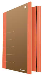 DONAU Gumis mappa DONAU Life A/4 karton neon narancssárga-barna (U2060001FSC-12) - papir-bolt