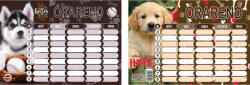 T-Creativ Órarend T-Creativ nagy 24 Dogs 165x235 cm 25 db-os csomag (N13044TDO)