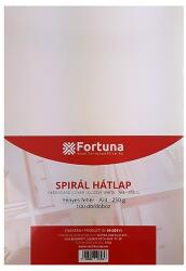 FORTUNA Hátlap FORTUNA A/4 230 g fényes fehér 100/dob (FO00102)