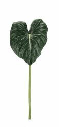 Bizzotto Set 6 frunze Philodendron artificial 38x3x87 cm (0170743)