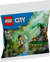 LEGO® City - Találkozás a kisgorillával (30665)