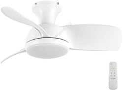 Lucci Air 513071