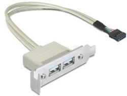 Delock Slot konzol USB 2.0 low profile 2 port (DL83119) (DL83119)