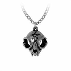 Alchemy Gothic Colier ALCHEMY GOTHIC - Forever My Friend - P938