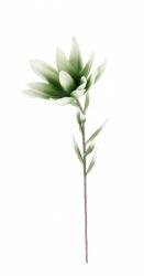Bizzotto Set 12 flori artificiale verzi albe 20x81 cm (0170117)