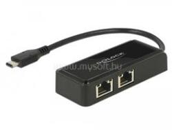 Delock Adapter SuperSpeed USB (USB 3.1 Gen 1) USB Type-C csatlakozódugóval > 2 x Gigabit LAN 10/100 (DL63927) (DL63927)