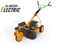 AS-Motor AS 21 E (G06100104)