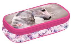 KARTON P+P Penar fete cu un compartiment, model Magic Horse - Oxybag Penar