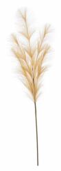 Bizzotto Set 12 flori Pampas artificial 20x100 cm (0939429)