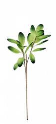 Bizzotto Set 12 crengute artificiale verzi 38x91 cm (0170134)