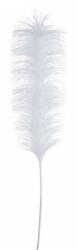 Bizzotto Set 24 pene artificiale albe 6x90 cm (0932734)