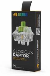 GLORIOUS Raptor Switch, mechanisch, 5-pin, clicky, MX-Stem, 55g - 36 db (GLO-SWT-RAPTOR-LUBED)