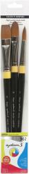 Daler-Rowney System3 Acrylic Brush Stiff Synthetic Set pensule 3 buc (281300302)