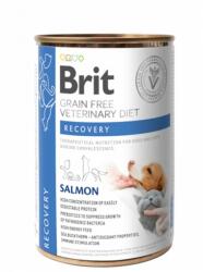Brit Veterinary Diets GF cat + dog Recovery salmon 6 x 400 g