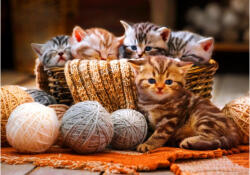 Bluebird Puzzle 90264 - Kittens in Basket - 1000 db-os puzzle (90264)