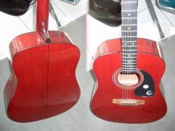 Epiphone PR-100