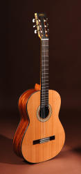 Sigma Guitars CM-6