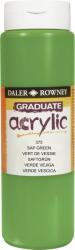 Daler-Rowney Graduate АКРИЛНА боя Sap Green 500 ml 1 бр (123500375)