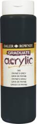 Daler-Rowney Graduate АКРИЛНА боя Payne's Grey 500 ml 1 бр (123500065)