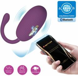Pretty Love Doreen Vibrating Egg Global Remote Control Series Purple