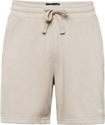 HOLLISTER Pantaloni maro, Mărimea XL