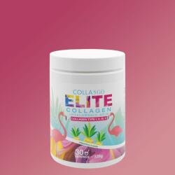 COLLANGO - Elite Collagen + Hyaluronic Acid - Collagen Type I, Ii, Iii, V - 339 G