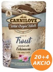 CARNILOVE Cat tasakos Trout with Echinacea - Pisztráng echinaceával 24x85g