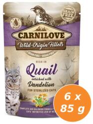 CARNILOVE Cat tasakos Quail with Dandelion for sterilized - Fürj pitypanggal ivart 6x85g