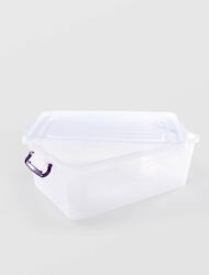 Sterk Plast Cutie Alimente Sterk Select 20 L Cu Manere 50 X 33 X 20 Plastic Transparenta (gm8883)