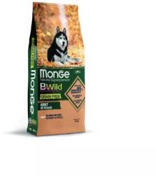 Monge BWild Grain Free Dog Adult - lazac, borsó 12kg