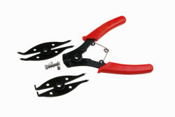  17025F (463848) Cleste