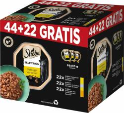 Sheba Pluspack nedves macskatáp 44 + 22 ajándék (3 fajta) - 5, 61 kg