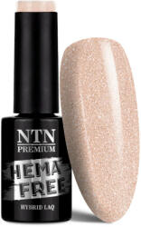 NTN Premium UV/LED 308# (HEMA Free)