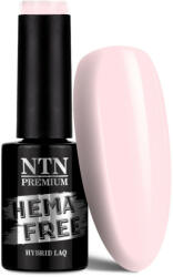 NTN Premium UV/LED 305# (HEMA Free)