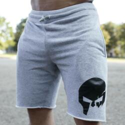 Iron Aesthetics Pantaloni scurți de trening pentru bărbați Iron Aesthetics Skull, gri: Gri M (P1237A7772)