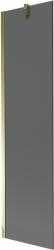 Mexen Next paravan de baie cu 1 panou 50 x 150 cm, grafit, auriu - 895-050-000-00-40-50 (895-050-000-00-40-50)