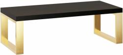 Baltica Design Liv konzol 100x40x28 cm fekete-arany 5904107906744