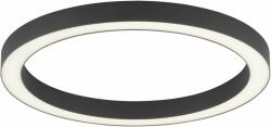 Neuhaus Lighting Group Pure-Lines mennyezet 1x30 W szürke 6309-13
