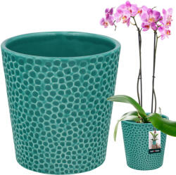 Kotarbau Ghiveci De Flori Din Ceramică Turcoaz Plante Orhidee 12 Cm (p906)