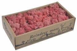  Muschi curatat decorativ 500 g pentru aranjamente florale (8276)