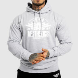 Iron Aesthetics Fitness cipzár nélküli pulóver Iron Aesthetics Force, szürke: XL Szürke