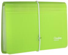 KARTON P+P Organizator documente cu bandă elastică PP DL Opaline (13 compartimente) verde-transparent