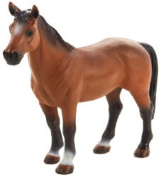 Mojo Trakehner ló (MJ387350)